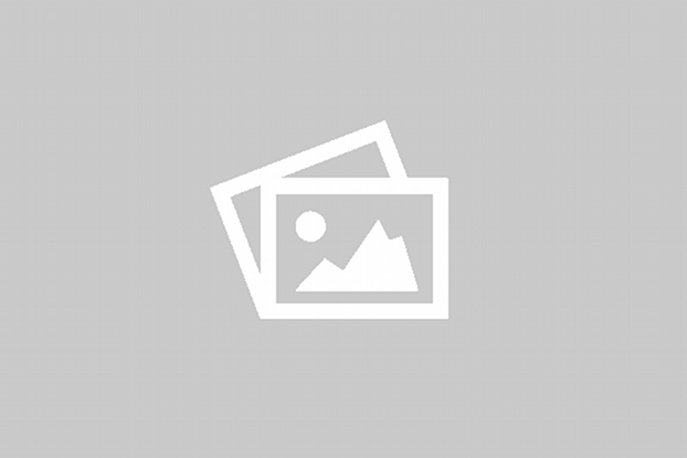 3100 4T GOLD 20W50 Bike Engine Oil